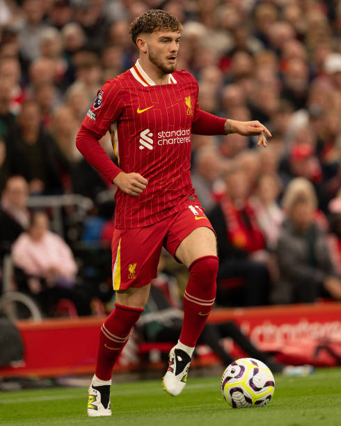 澳大利亚在 澳大利亚在